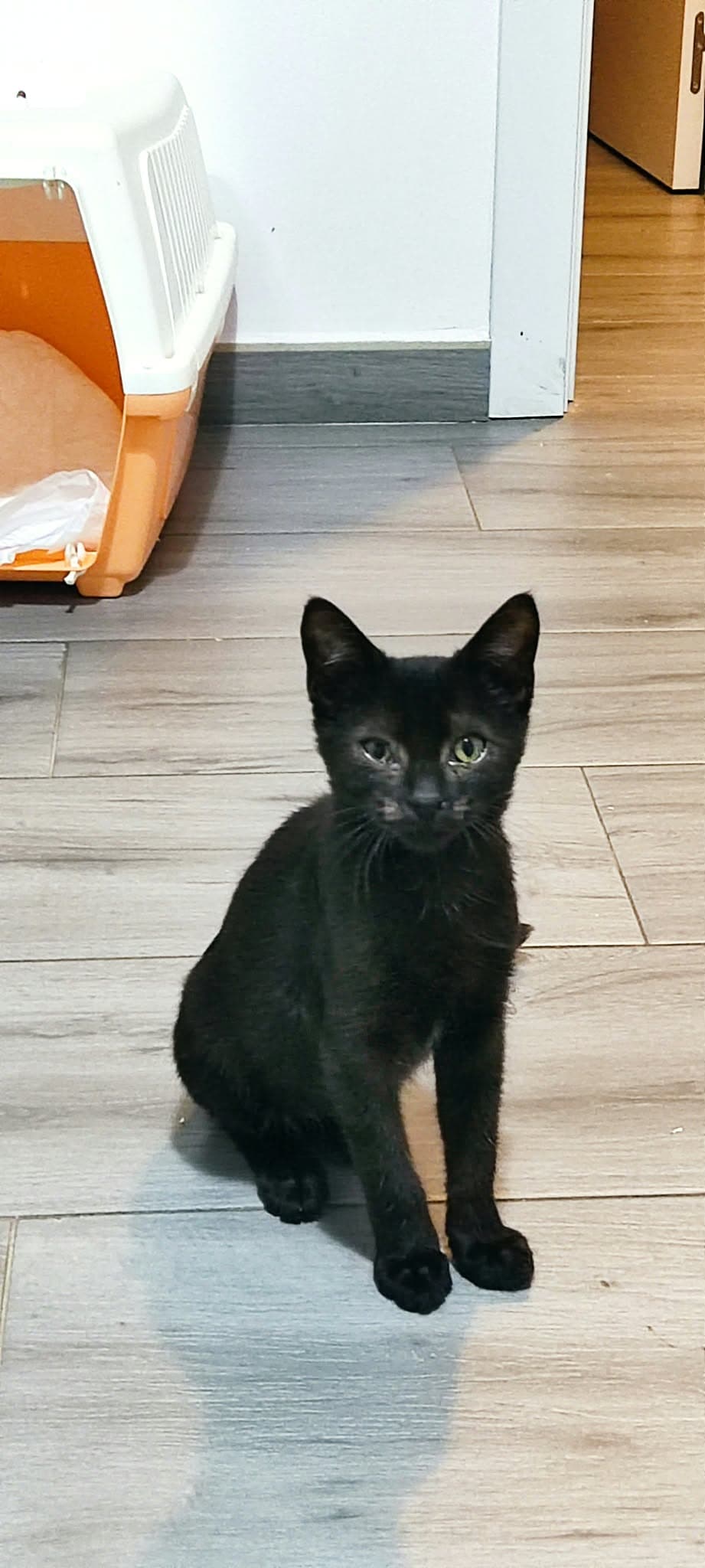 Foto de Salem