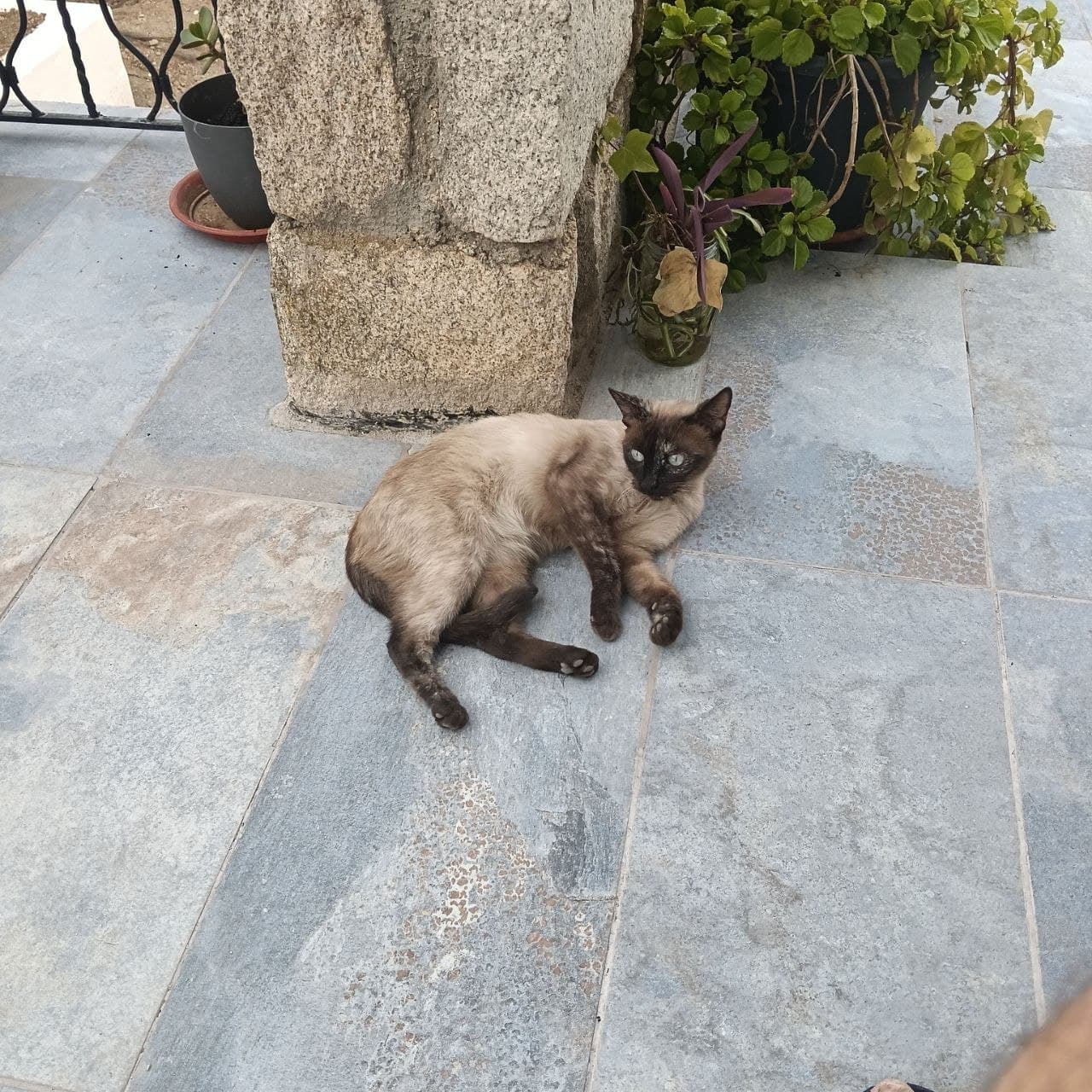 Foto de Sofi