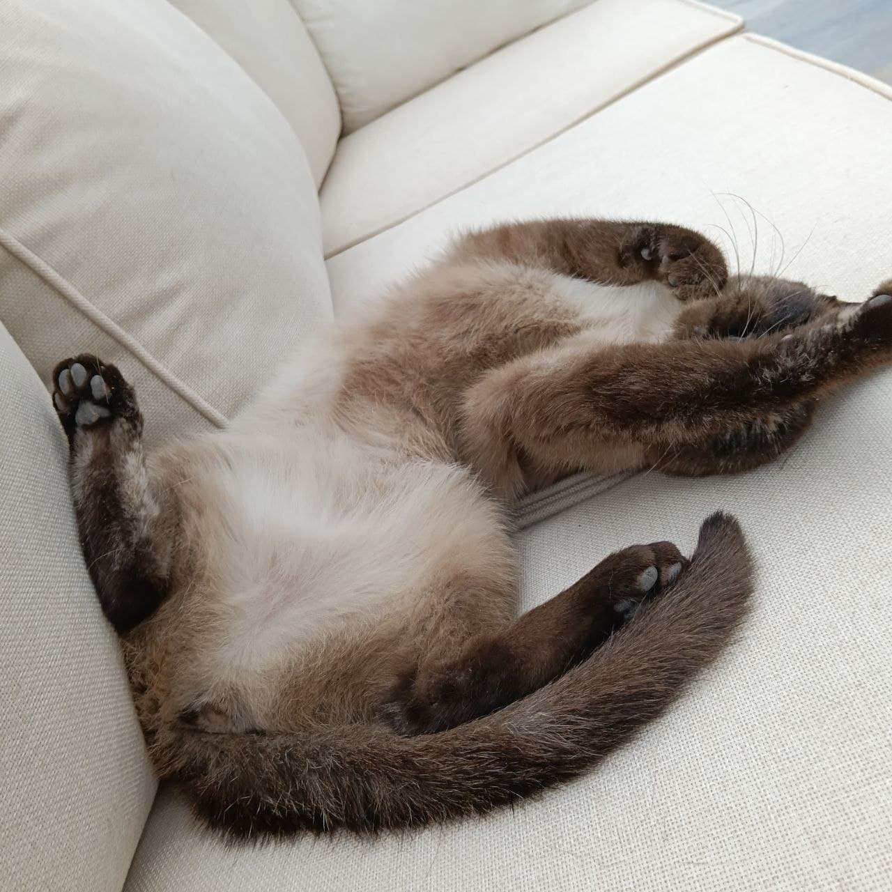 Foto de Sofi